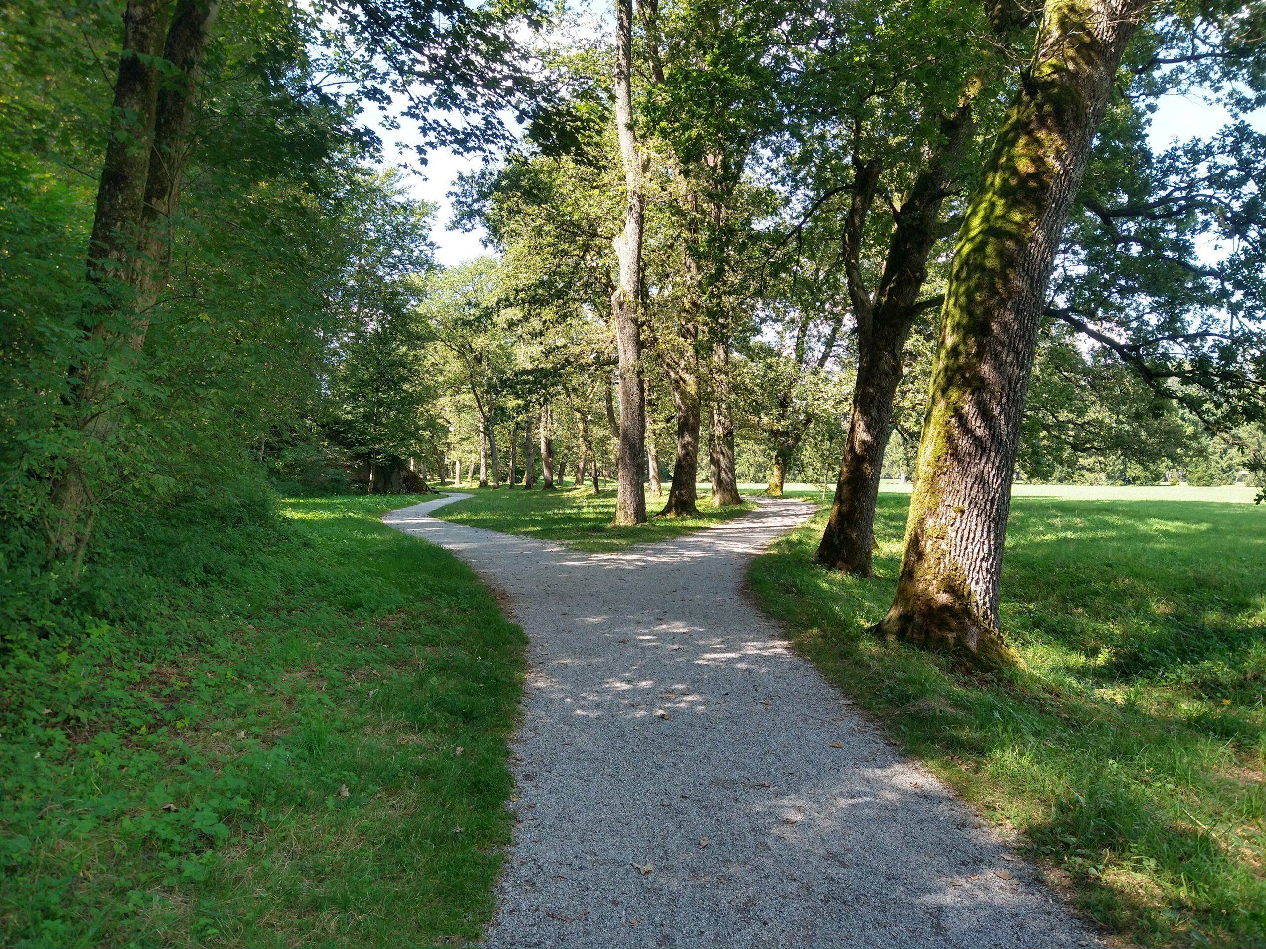 Studio Vidé - Dr. Agr. Francesco Vidé, dottore agronomo, libero professionista, Desio, Monza e Brianza, Lombardia - Tematiche, immagine parco con sentiero e alberi