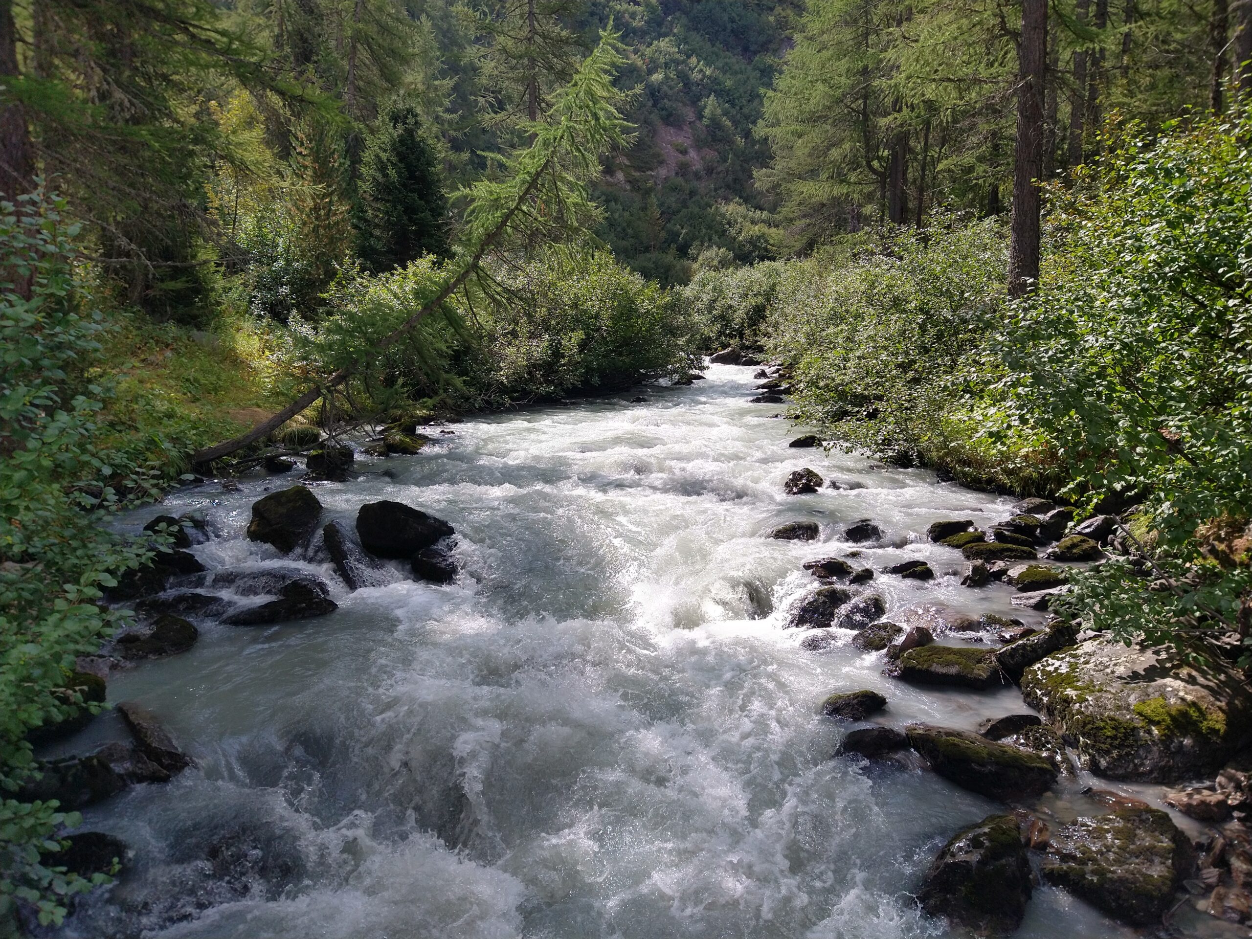 Studio Vidé - Dr. Agr. Francesco Vidé, dottore agronomo, libero professionista, Desio, Monza e Brianza, Lombardia - Sistemazioni idraulico-forestali, immagine torrente fiume vegetazione riparia